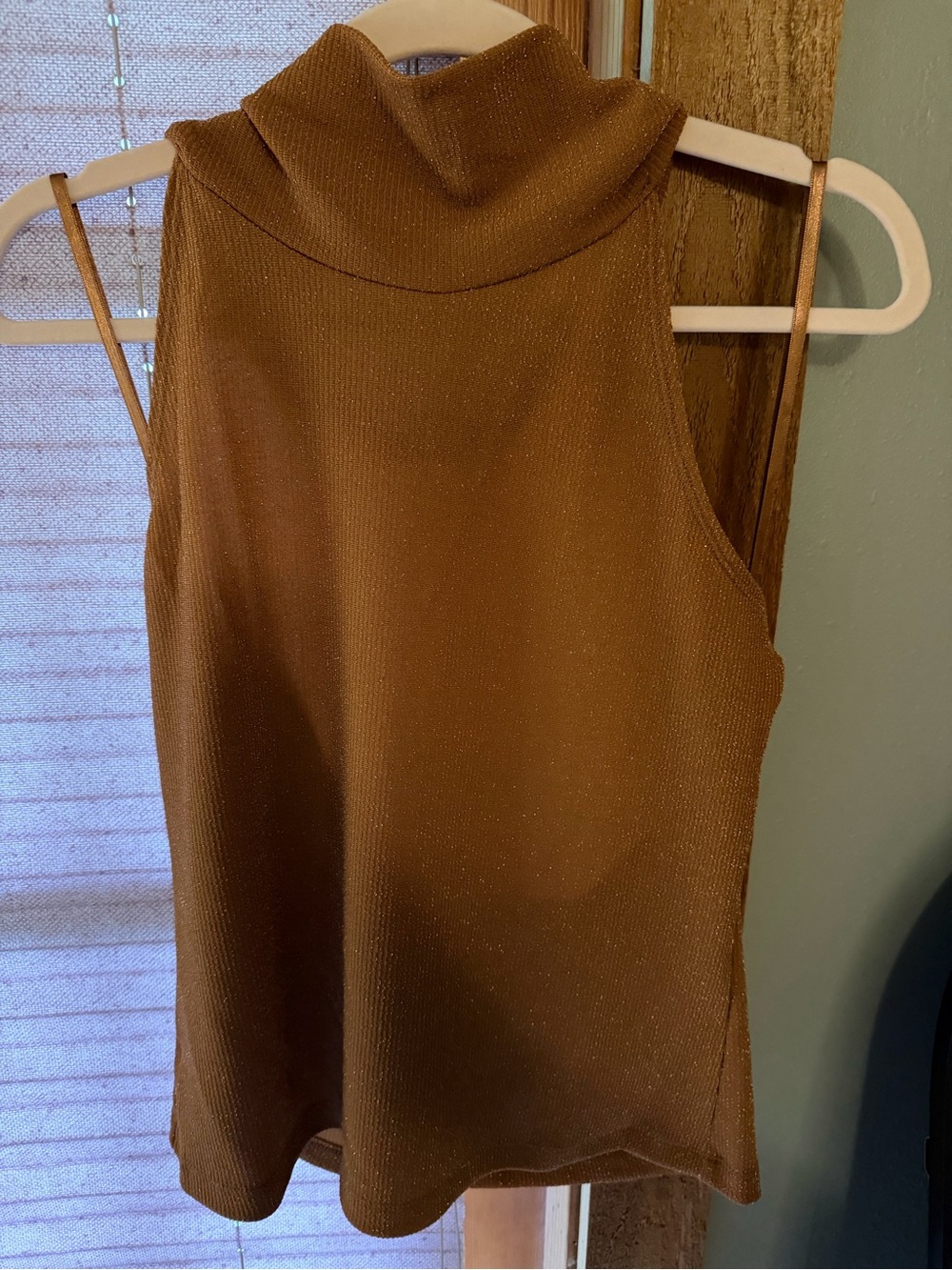 Pilcro Sleeveless Mock Neck Tank in Rich Brown